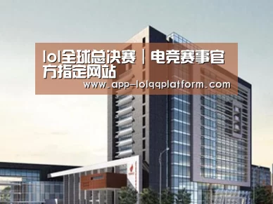 案例展示七