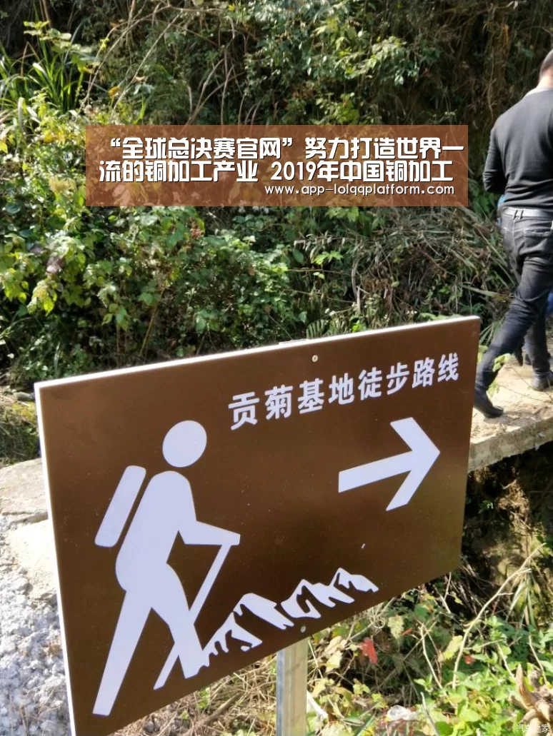 “全球总决赛官网”努力打造世界一流的铜加工产业 2019年中国铜加工产业年度大会暨中国(绍兴)铜产业发展高峰论坛召开(图2) 世界赛官网