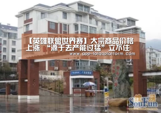 【英雄联盟世界赛】大宗商品价格上涨 “源于去产能过猛”立不住脚(图4) 英雄联盟世界赛