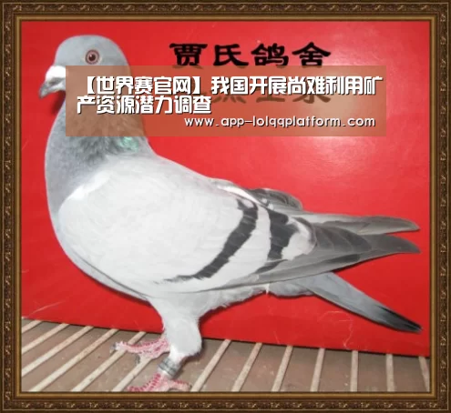 英雄联盟世界赛