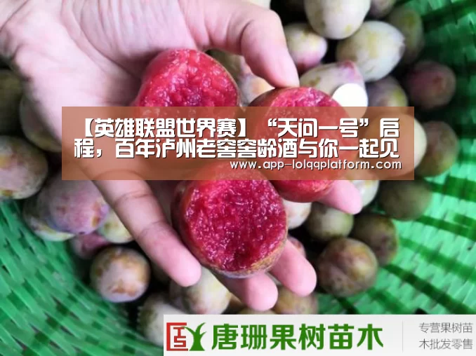 【英雄联盟世界赛】“天问一号”启程,百年泸州老窖窖龄酒与你一起见证前行的力量(图2) 全球总决赛官网