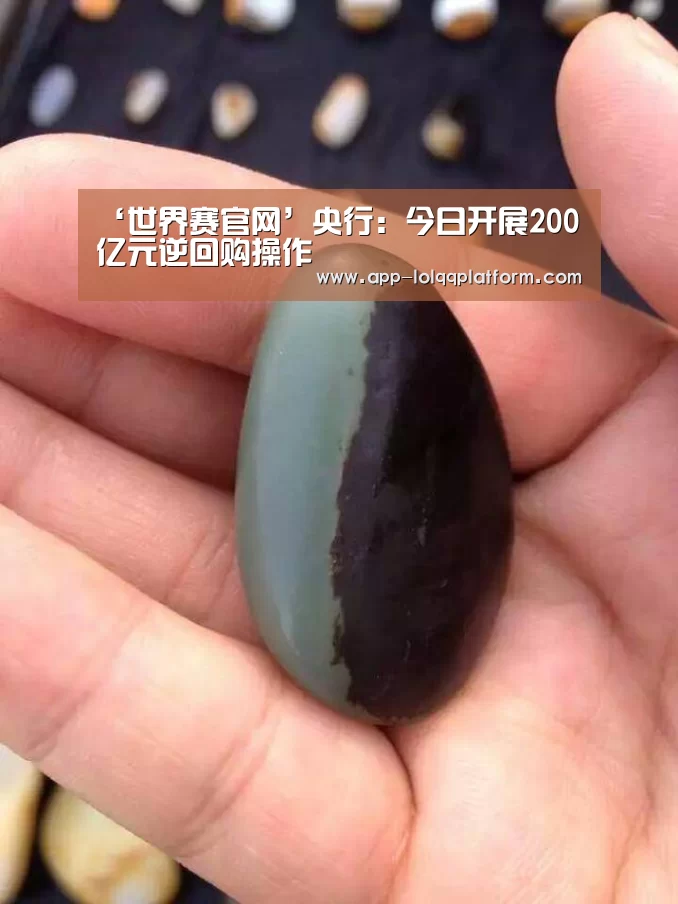 世界赛官网