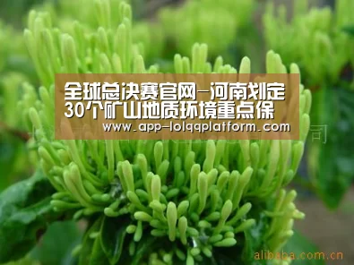 全球总决赛官网-河南划定30个矿山地质环境重点保护区(图2) 全球总决赛官网