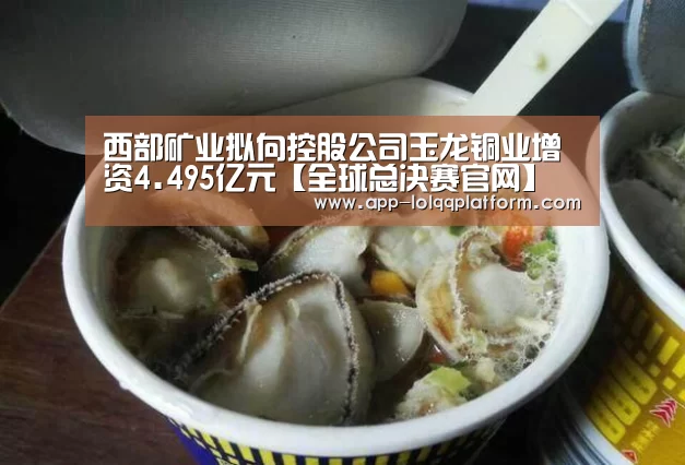 西部矿业拟向控股公司玉龙铜业增资4.495亿元【全球总决赛官网】(图2) 英雄联盟世界赛