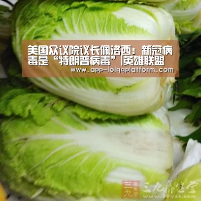 美国众议院议长佩洛西:新冠病毒是“特朗普病毒”|英雄联盟世界赛(图3) 世界赛官网