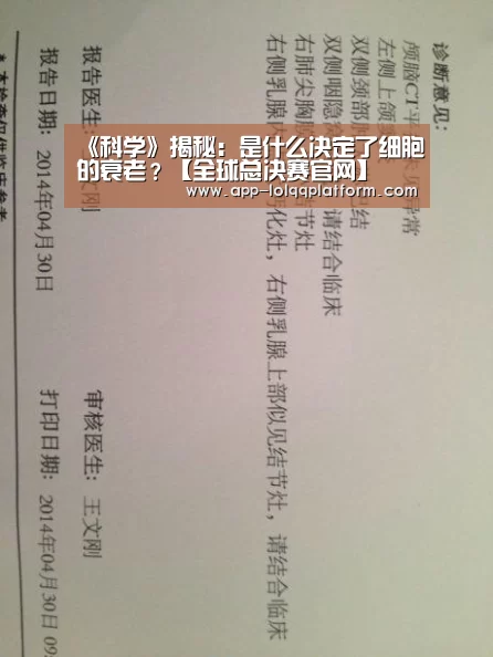 《科学》揭秘:是什么决定了细胞的衰老?【全球总决赛官网】(图4) 全球总决赛官网