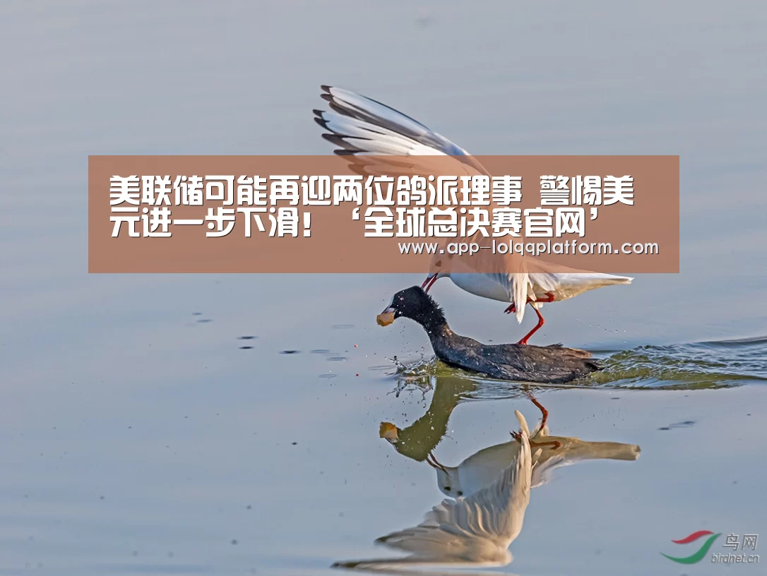 美联储可能再迎两位鸽派理事 警惕美元进一步下滑!‘全球总决赛官网’(图1) 世界赛官网